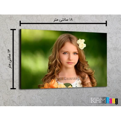 تخته شاسی عکاسی سایز 13x18