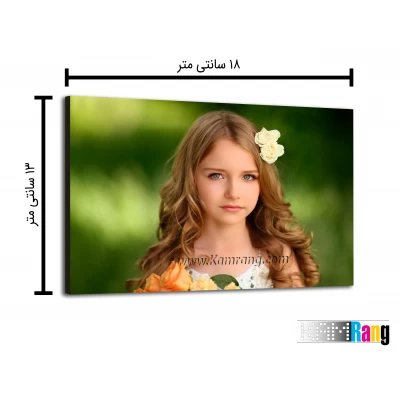 تخته شاسی عکاسی سایز 13x18