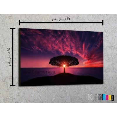 تخته شاسی عکاسی سایز 15x20
