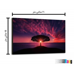 تخته شاسی عکاسی سایز 15x20