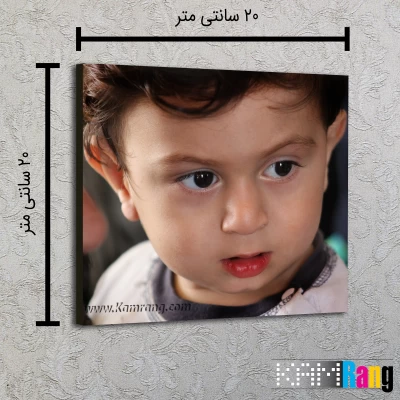 تخته شاسی عکاسی سایز 20x30