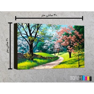 تخته شاسی عکاسی سایز 20x30