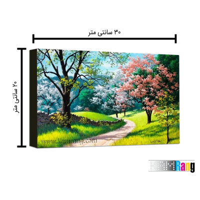 تخته شاسی عکاسی سایز 20x30